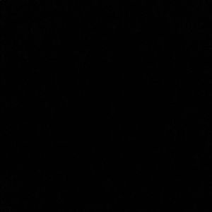 Meet your Posher, R’moni